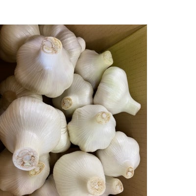 小豆島　生にんにく　約2kg