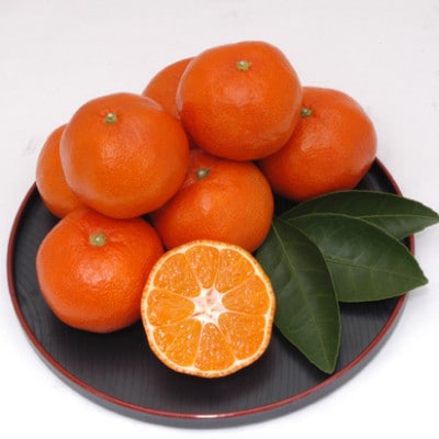 【さぬき讃フルーツ】小原紅早生ハウスみかん　約1.2kg
