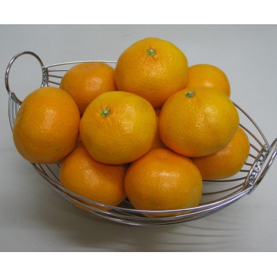 温州みかん 約6kg