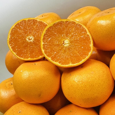 【期間限定!】濃厚でとろける果肉「せとか」(ご家庭用)　約5kg