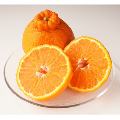 【期間限定!】甘みと酸味の共演・濃厚「デコポン」　約3kg