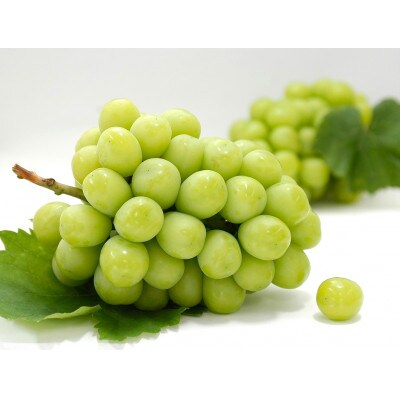 【発送月固定定期便】小豆島町フルーツ定期便全6回