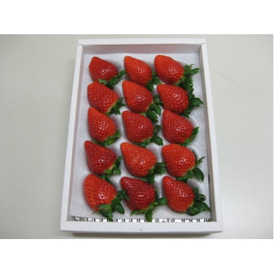 【発送月固定定期便】小豆島町フルーツ化粧箱定期便(女峰いちご+シャインマスカット)全2回