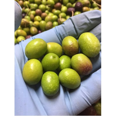 小豆島産EVオリーブオイル　ルッカ180gお得サイズ