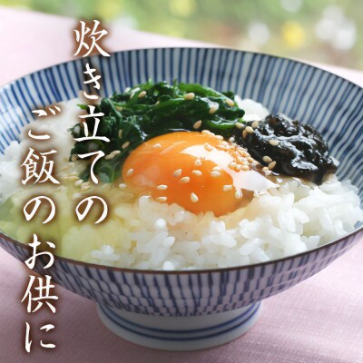 島乃香 岩のり入り 180g×15本[のり佃煮]