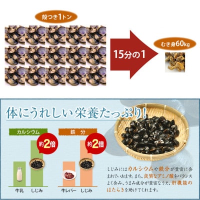 島乃香 味しじみ 45g×10袋