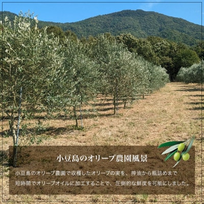 小豆島産100%エキストラバージン(EXV)オリーブオイル(100ml×3本入)