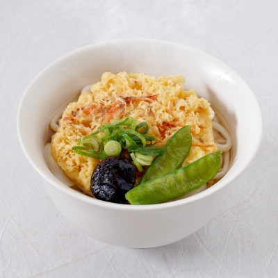 さぬき小豆島　手延冷凍調理うどん6種　セット(カレー/えび天/牛肉/かきあげ/きつね/餅入えび天)