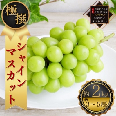 【2025年8月中旬より順次発送】極撰!シャインマスカット　約2kg(3～5房)