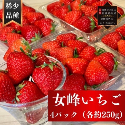 【2026年2月中旬より順次発送】希少品種!女峰いちご　4パック(1パックあたり約250g)