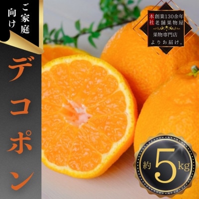 【2026年3月上旬より順次発送】ご家庭向け!「デコポン」約5kg