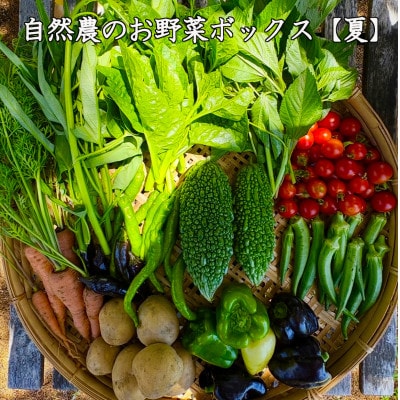 【自然農】季節のお野菜セット(約10品)