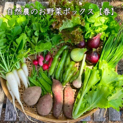 【自然農】季節のお野菜セット(約10品)