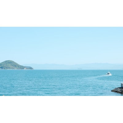 【小豆島コーヒー豆　おすすめ珈琲3種詰め合わせセット】450g(150g×3袋)(状態-豆)