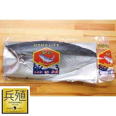 【1月発送】ひろびろいけすぶり(フィレ・片身)1枚