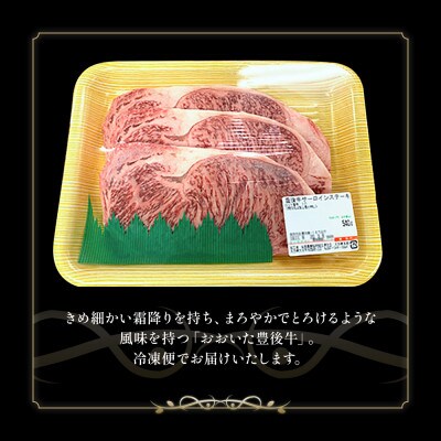 おおいた豊後牛　サーロインステーキ　計540g(180g×3枚)