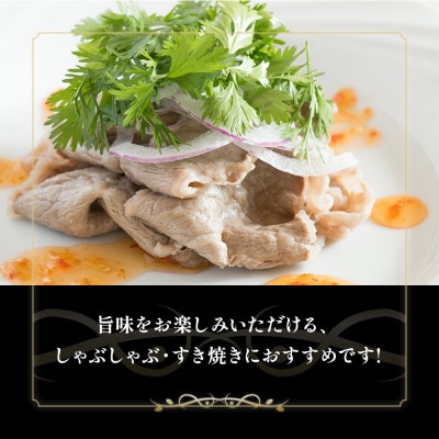 おおいた豊後牛　ロース薄切り　計600g(300g×2パック)