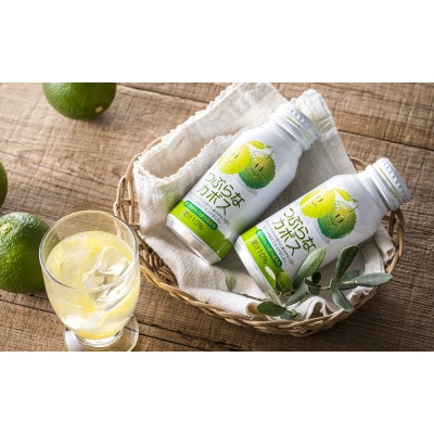 つぶらなカボス　190g×60本