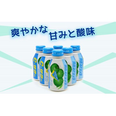 カボスドリンクCサワー(無炭酸)280g×24本