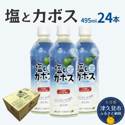 塩とカボス　495ml×24本(津久見市)