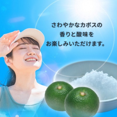 塩とカボス　495ml×24本(津久見市)