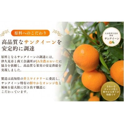 【数量限定】プレミアムサンクイーンワイン(2本)～つくみPremium SUNQUEEN WINE～