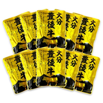 大分豊後牛ビーフカレー　10袋セット