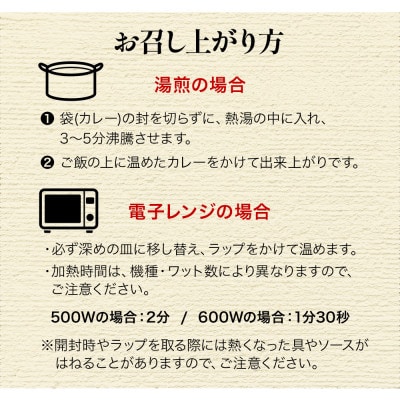 大分豊後牛ビーフカレー　10袋セット