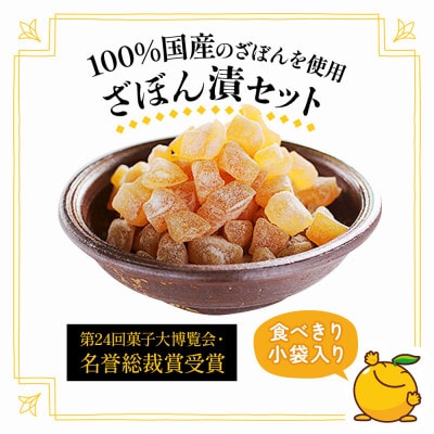 伝統銘菓　ざぼん漬セット(100g入×10袋)(津久見市)