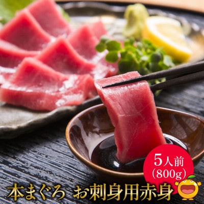 本まぐろお刺身用赤身5人前(800g)