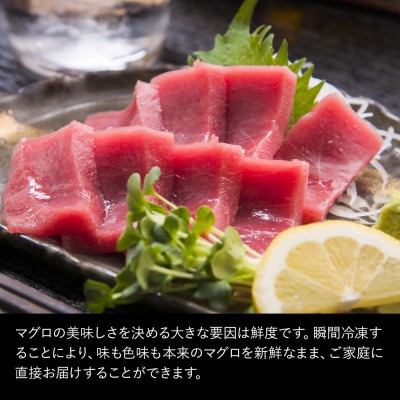 本まぐろお刺身用赤身5人前(800g)