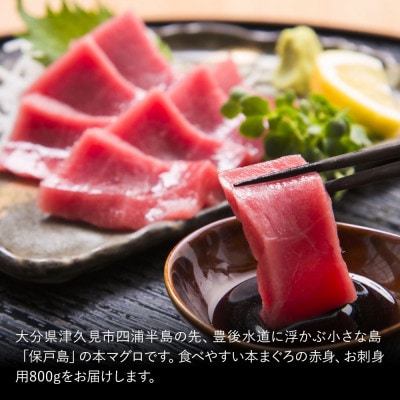 本まぐろお刺身用 中トロ5人前(800g)