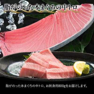 本まぐろお刺身用 中トロ5人前(800g)