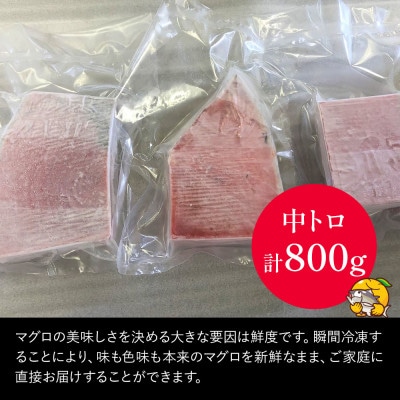 本まぐろお刺身用 中トロ5人前(800g)
