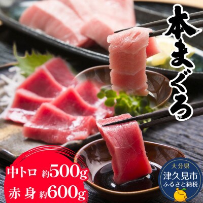 【本まぐろ】中トロ 約500g・赤身　約600gセット