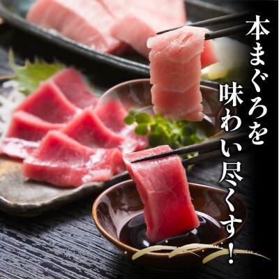 【本まぐろ】中トロ 約500g・赤身　約600gセット