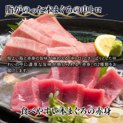 【本まぐろ】中トロ 約500g・赤身　約600gセット