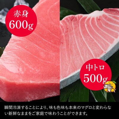 【本まぐろ】中トロ 約500g・赤身　約600gセット