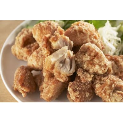 大分名物からあげ 塩からあげ 計1600g