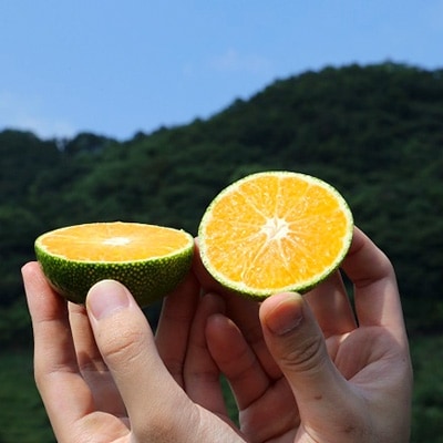 上野果樹園の大分早生(極早生) 5kg