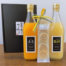 みかんジュースストレート(清見・瓢柑)500ml×2本とドライかぼすセット