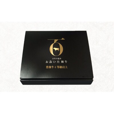 おおいた和牛A4ランク以上　ヒレ&リブロースセット(各2枚)