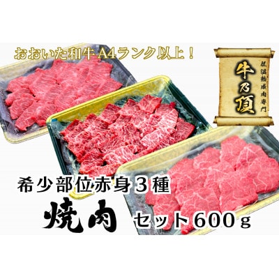おおいた和牛A4ランク以上 ヒレ・ミスジ・ランプ焼肉セット600g【低温熟成】