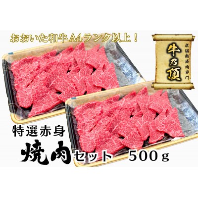 おおいた和牛A4ランク以上　特選赤身焼肉セット500g【低温熟成】