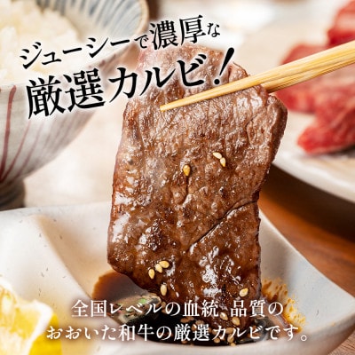 おおいた和牛焼肉300g(津久見市)