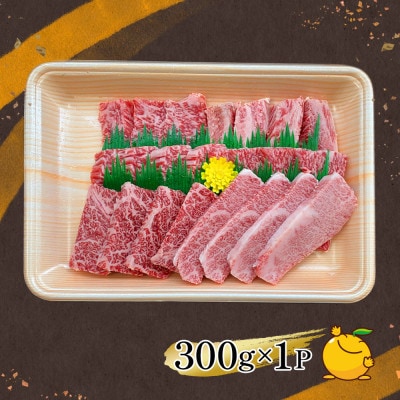 おおいた和牛焼肉300g(津久見市)
