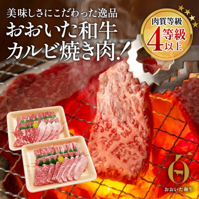 おおいた和牛焼肉用600g(300g×2P)