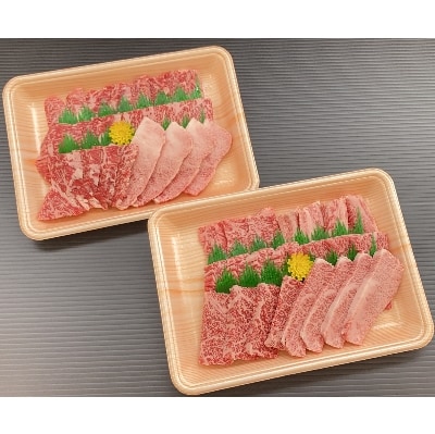 おおいた和牛焼肉用600g(300g×2P)