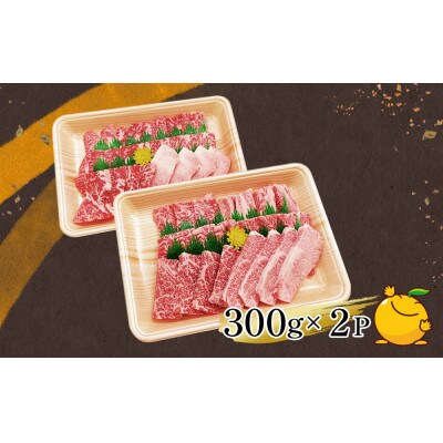 おおいた和牛焼肉用600g(300g×2P)