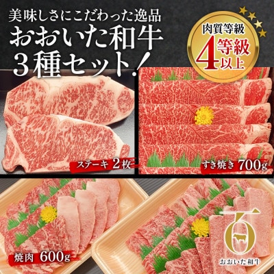 おおいた和牛　大満足セット(ステーキ2枚・すき焼き700g・焼肉600g)